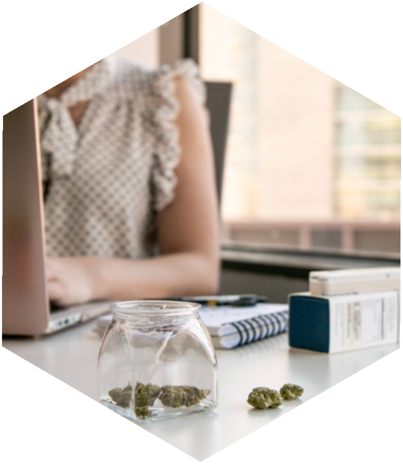 Vendor reviewing a cannabis flower sample at their desk