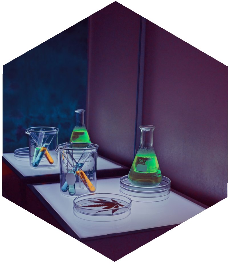 Lab bench with flasks and petri dishes prepared for testing