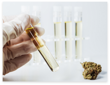 Sample vial and cannabis flower ready for testing