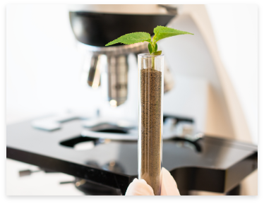 Plant cutting in a sample vial beside a microscope